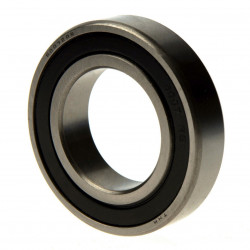 BALL BEARING 6007 2RS