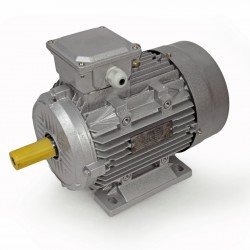 3KW ELECTRIC MOTOR 2880 RPM 28MM 3-PHASE