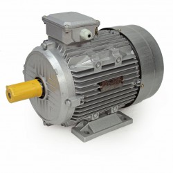 ELECTRIC MOTOR 7.5KW 2900 RPM 38MM 3-PHASE