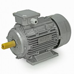 ELECTRIC MOTOR 2.2KW 2840 RPM 24MM 3-PHASE