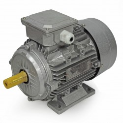 ELECTRIC MOTOR 0.55KW 1390 RPM 19MM 3-PHASE
