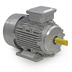 ELECTRIC MOTOR 1.1KW 2830 RPM 19MM 3-PHASE