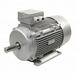 ELECTRIC MOTOR 18.5KW 2930 RPM 42MM 3-PHASE