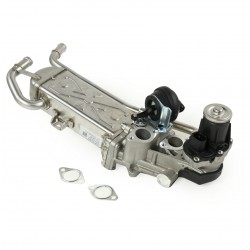 VÁLVULA EGR PARA VW