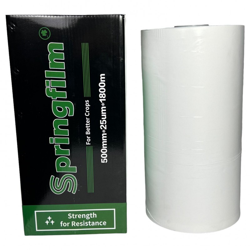   Numer referencyjny  FOLIA01B1, 50018002522  