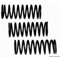 INTERNAL VALVE SPRING C-360