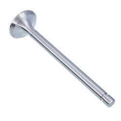 EXHAUST VALVE MTZ